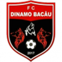 Динамо Бакэу