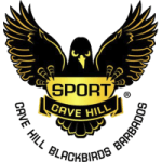 ЮВИ Блэкбёрдс