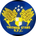 Treowen Stars