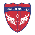 Niğde Anadolu