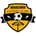 Араукария U20  