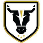 Буллз Академи