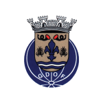 Оливейра де Фрадеш