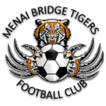 Менай Бридж Тайгерс