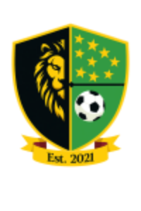 Мидлэндс Уондерерс